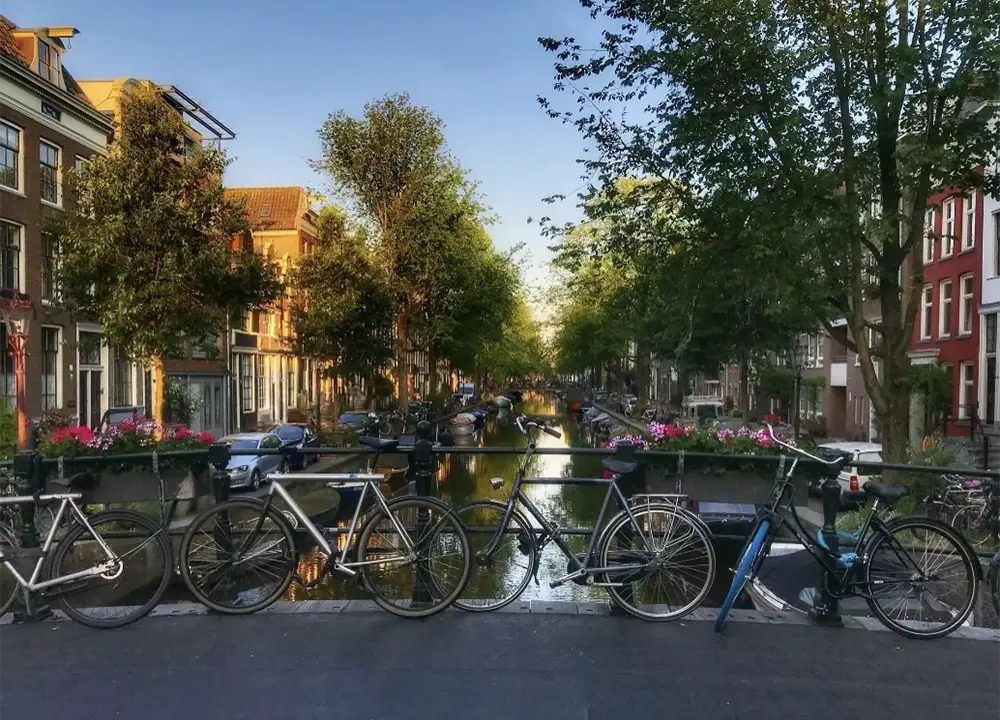Embrace Autumn in Amsterdam