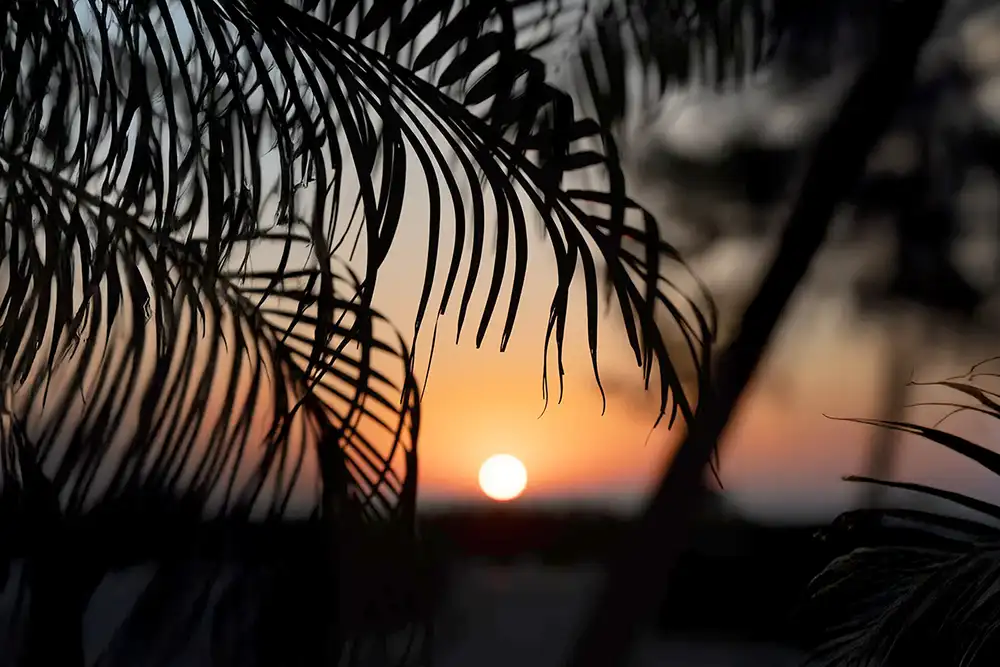 Exclusive Summer Offer