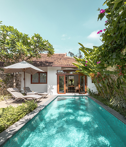 The Wonders of Winter in Bali