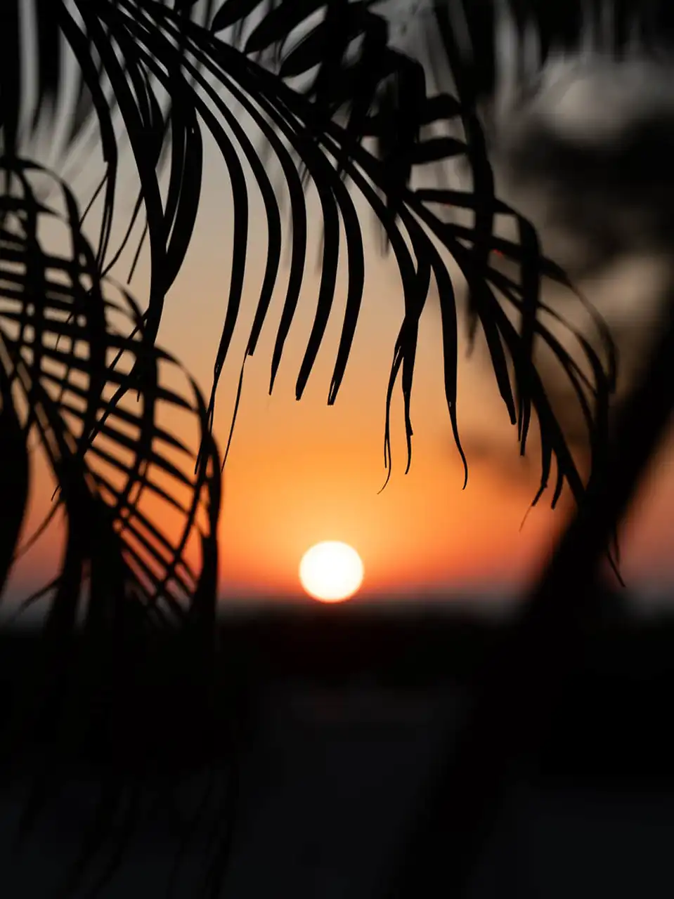 Stay Longer. Enjoy More