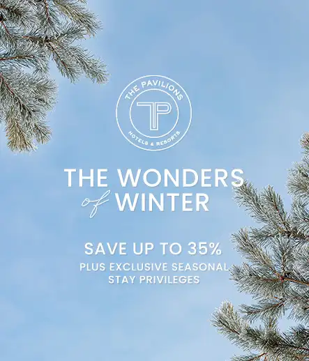 The Wonders of Winter