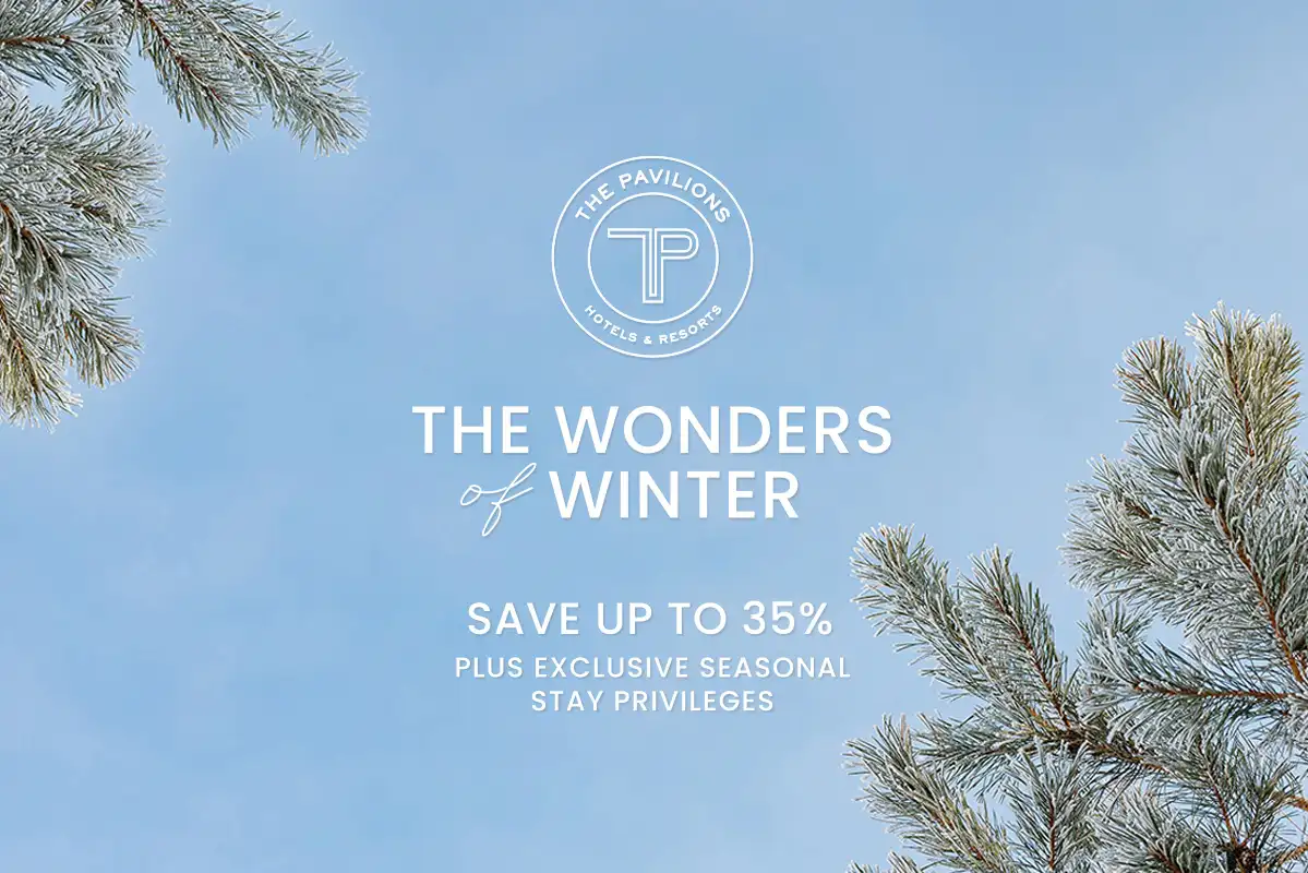 Wonders of Winter